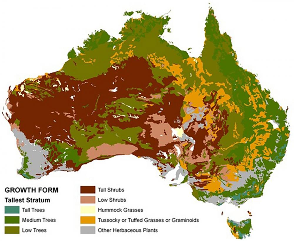 Figure 1. Growth Form. Copyright 2016 by Commonwealth of Australia